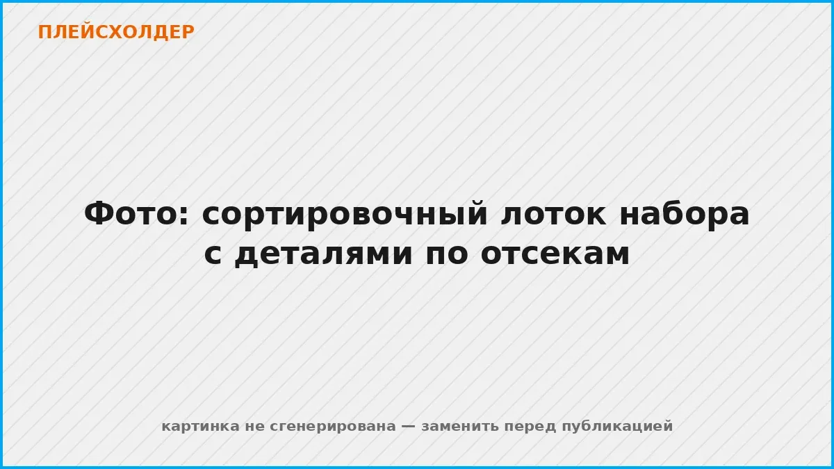 Сортировочный лоток набора РобоГуру: детали разложены по отсекам — пластины, балки, оси, шестерни и ремни